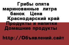 Грибы опята маринованные 3литра 180 банок › Цена ­ 250 - Краснодарский край Продукты и напитки » Домашние продукты   